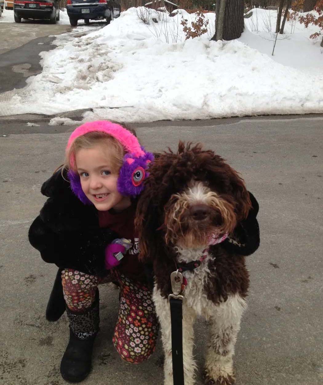 Child with Labradoodle puppies in NH