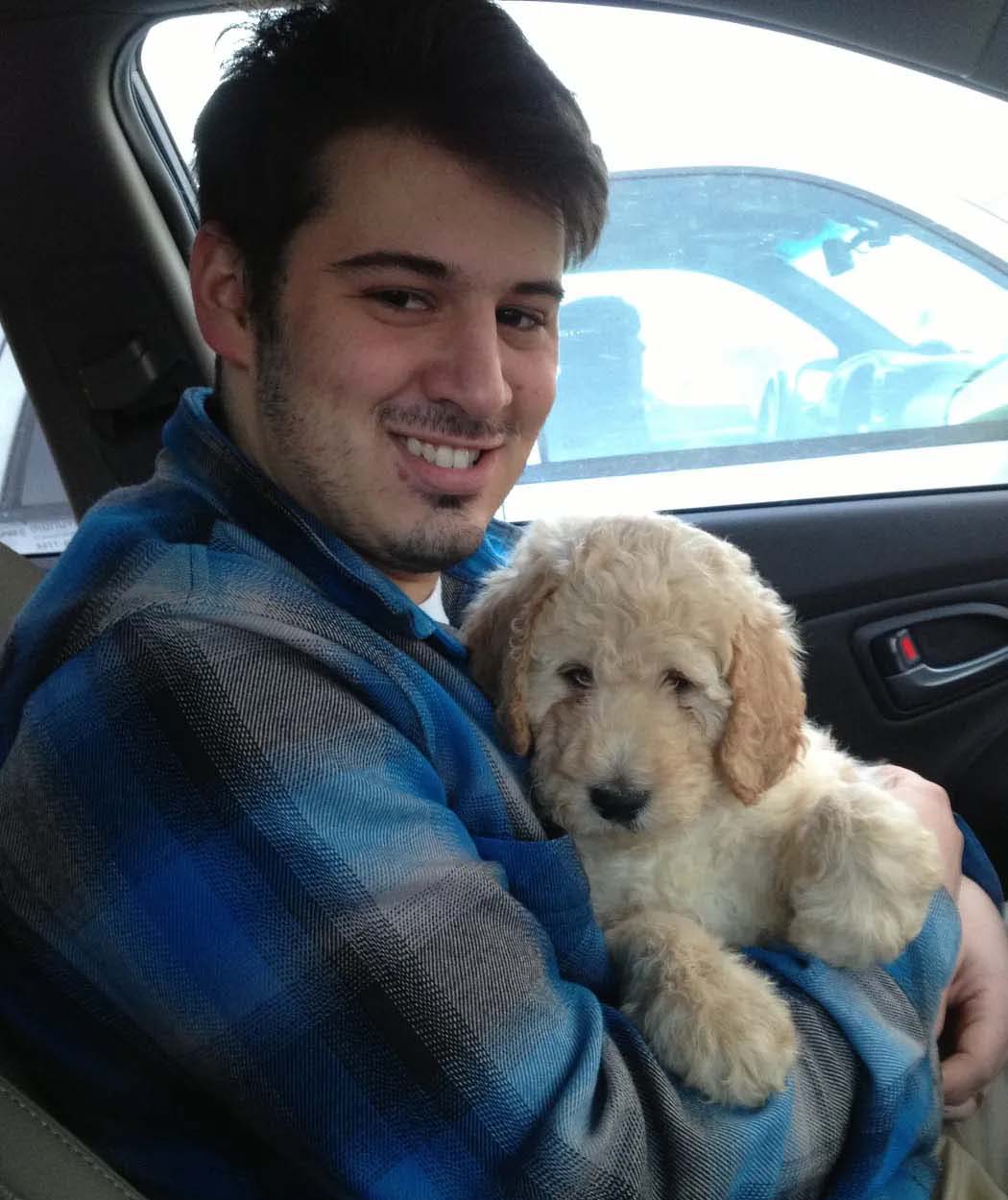 Man with Labradoodle puppies in NH