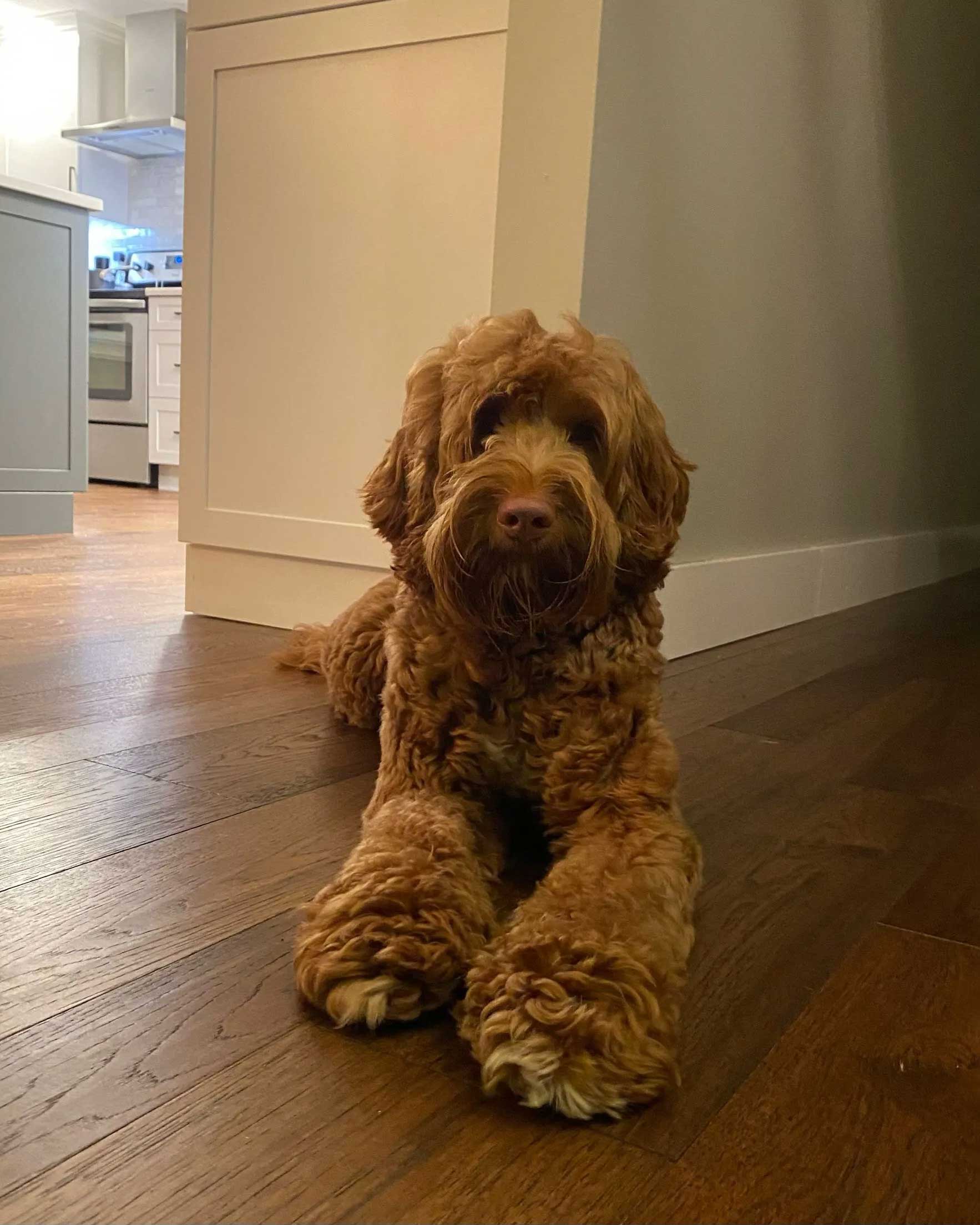 Arrowhead's Hazel Grace