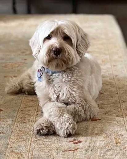 Granite State's Sadie 