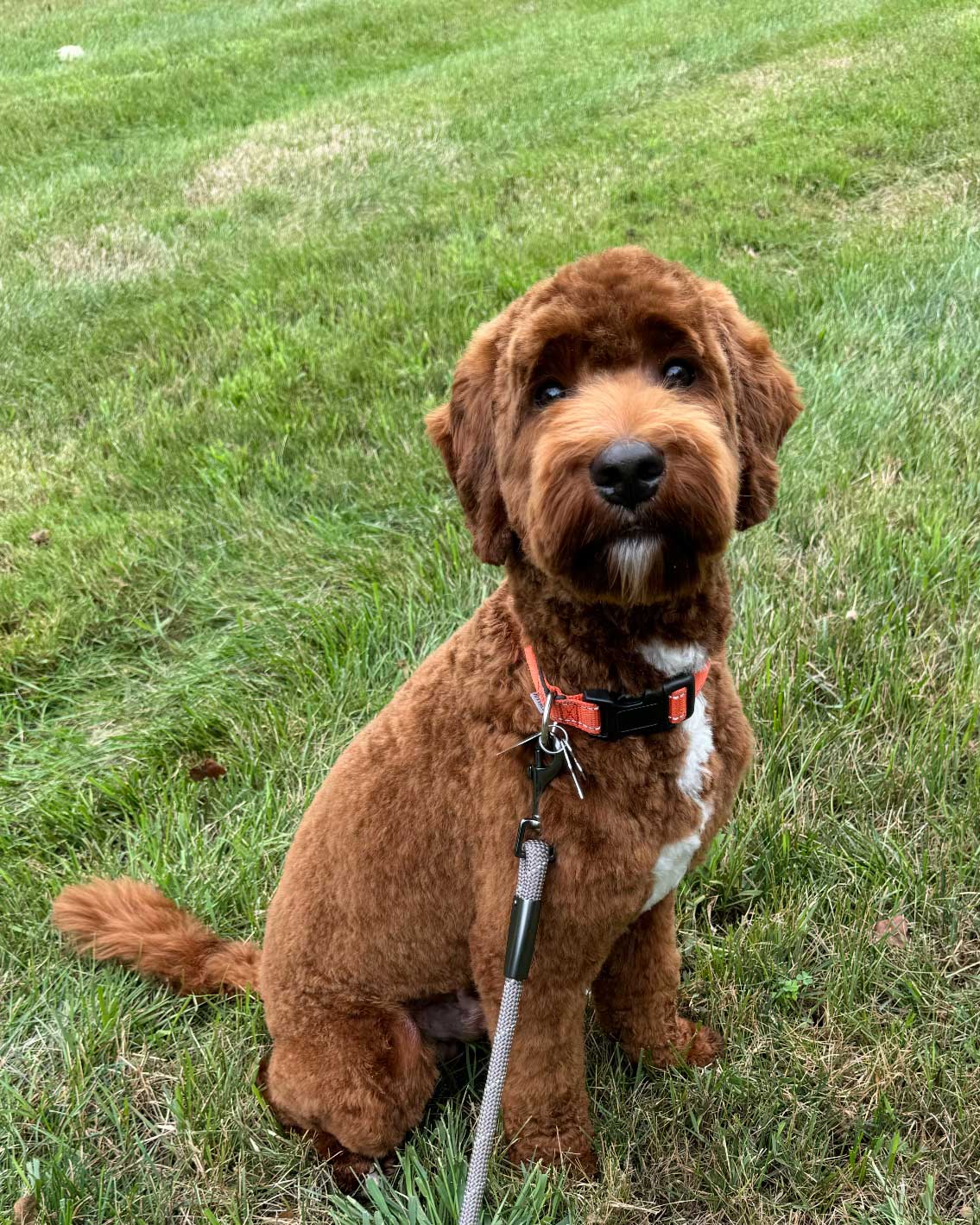 Granite State's Bailey