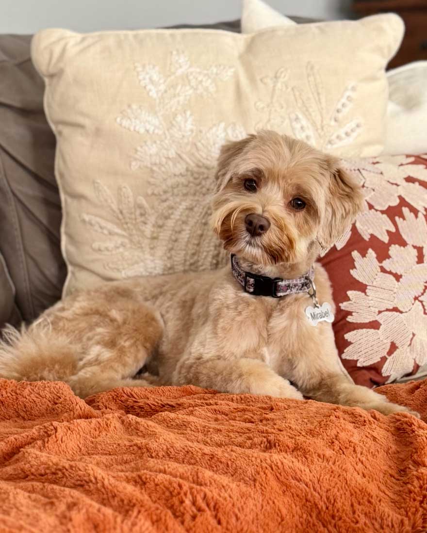 Granite State's Mirabel