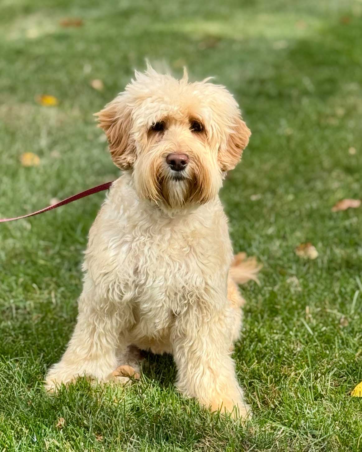 Granite State's Reba